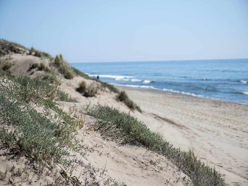 Wood House Close Beach Marbella Exterior foto